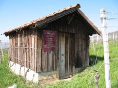 Weil am Rhein Weiler Weinweg 011.jpg
